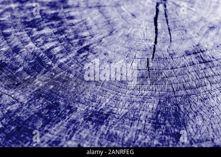 Struttura di trama tagliati vicino. Sfondo di legno di colore blu tonica Foto Stock