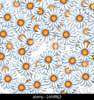 Chamomiles. Modello senza cuciture con fiori a margherita Foto Stock