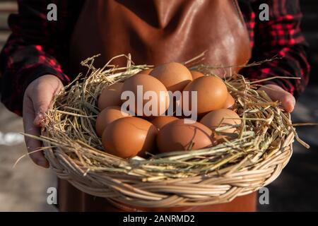 Una donna che tiene un cesto in rattan con uova fresche. Foto Stock