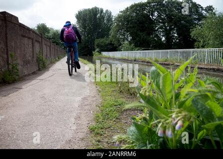 Un ciclista sul Grand Union Canal alzaia, Warwick, Regno Unito Foto Stock