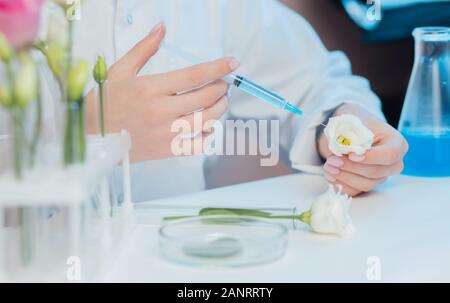 Concetto di biotecnologia. Estratti di siringa di olio dai fiori test cosmetici naturali aroma estratto Foto Stock