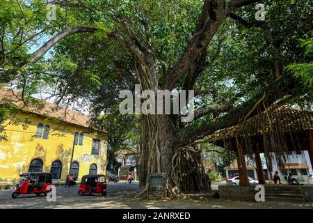 Galle, Sri Lanka - Gennaio 2020: Tuk tuks nella piazza della Corte di Galle Fort il 14 gennaio 2020 a Galle, Sri Lanka. Foto Stock