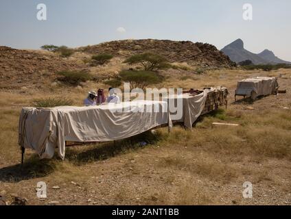 Arabia apicoltori lavorando in alveari, Jizan provincia, Addarb, Arabia Saudita Foto Stock