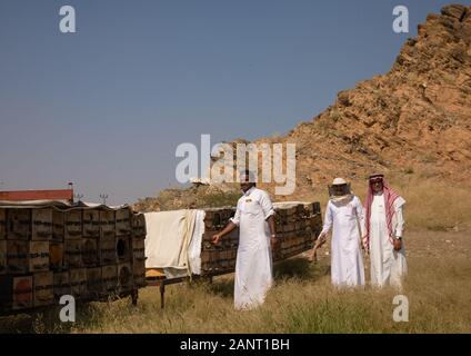 Arabia apicoltori lavorando in alveari, Jizan provincia, Addarb, Arabia Saudita Foto Stock