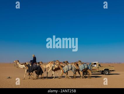 Formazione per corse di cammelli del Rub' al Khali empty quarter desert, provincia di Najran, Hubuna, Arabia Saudita Foto Stock