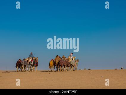 Formazione per corse di cammelli del Rub' al Khali empty quarter desert, provincia di Najran, Hubuna, Arabia Saudita Foto Stock