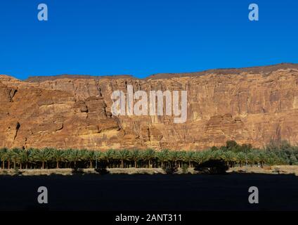 Montagne e palme di wadi al-qura, Al Madinah Provincia, Alula, Arabia Saudita Foto Stock