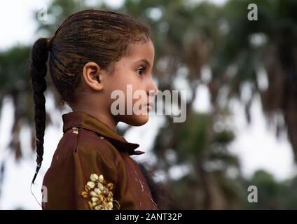 Ritratto di una ragazza saudita con henna nei capelli, Jizan provincia, Alaydabi, Arabia Saudita Foto Stock