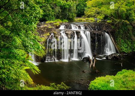 Wallicher Falls nei tropici Bagnati del Queensland. Foto Stock