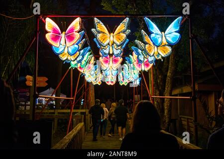 Sanford, Fla/STATI UNITI D'America - 29 DIC 2019: La Lanterna asiatici Festival, nel selvaggio, presso il Central Florida Zoo & Botanical Gardens featured oltre 30 lanter LED Foto Stock