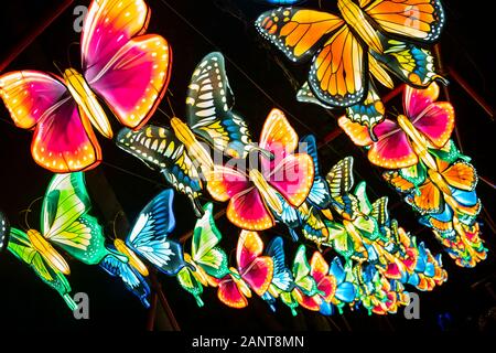 Sanford, Fla/STATI UNITI D'America - 29 DIC 2019: La Lanterna asiatici Festival, nel selvaggio, presso il Central Florida Zoo & Botanical Gardens featured oltre 30 lanter LED Foto Stock