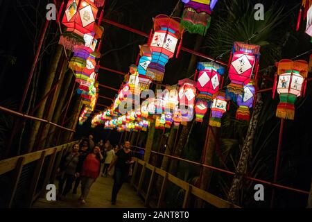 Sanford, Fla/STATI UNITI D'America - 29 DIC 2019: La Lanterna asiatici Festival, nel selvaggio, presso il Central Florida Zoo & Botanical Gardens featured oltre 30 lanter LED Foto Stock