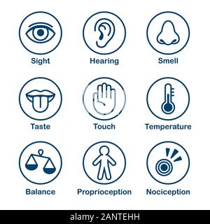 Icona set di sensi umani della percezione. Vista, olfatto, udito, tatto, gusto e senso di equilibrio, temperatura, corpo e dolore. Semplice, linea minima ico Illustrazione Vettoriale