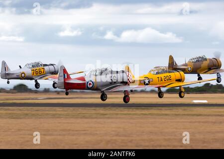 Ex Royal New Zealand Air Force (RNZAF) North American A-6C Harvard VH-NAH decollare in formazione con altri tre T-6 velivolo. Foto Stock