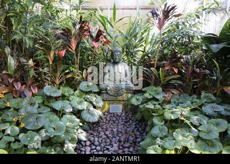 Una meditazione statua del Buddha in un giardino a Giardini Botanici Marie Selby di Sarasota in Florida, Stati Uniti d'America. Foto Stock