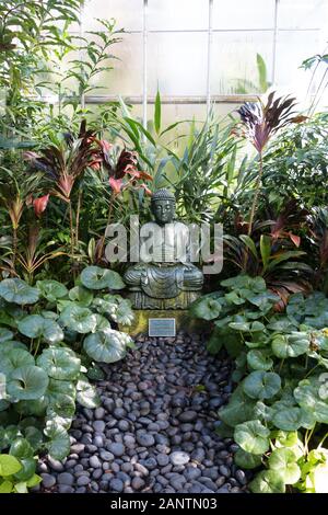 Una meditazione statua del Buddha in un giardino a Giardini Botanici Marie Selby di Sarasota in Florida, Stati Uniti d'America. Foto Stock