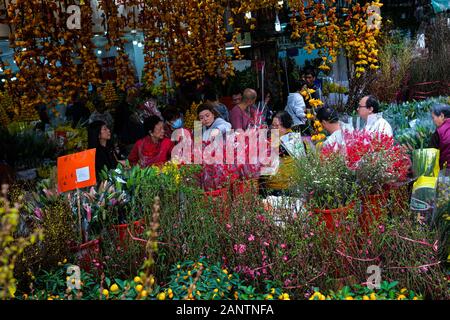 Hong Kong, Cina. Xix gen, 2020. La gente compra i fiori e altri oggetti di arredamento per preparare il Capodanno cinese di Hong Kong. Il nuovo anno cinese cade il 25 gennaio 2020, segna l'inizio dell'anno del ratto. Credito: Keith Tsuji/ZUMA filo/Alamy Live News Foto Stock