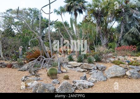 Il giardino di cactus al Marie Selby Botanical Gardens di Sarasota in Florida, Stati Uniti d'America. Foto Stock