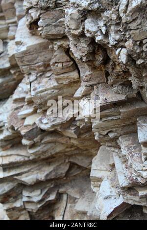 Queste rocce costituiscono parte delle Santa Monica Mountains nel Will Rogers state Park e contribuiscono a creare un ambiente per le piante native della California meridionale. Foto Stock