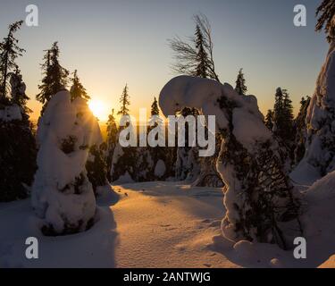 Riisitunturi parco nazionale in Finlandia durante la bellissima alba d'inverno. Foto Stock