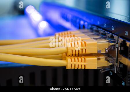 Molti giallo fili internet collegare allo switch di rete nella stanza del server. Cavo UTP collega alle interfacce dei router della sede principale. Informazione Foto Stock