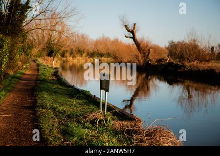 Un Robin (Erithacus rubecula) appollaiato su un segno lungo il fen river way sentiero in Horningsea Foto Stock