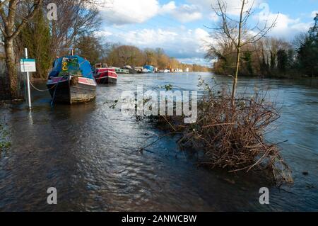 CHERTSEY, Regno Unito - 20 Feb 2014 - Inondazioni dopo il fiume Tamigi burst si tratta di banche in alto raggiunge vicino a Chertsey Surrey in Inghilterra REGNO UNITO Foto Stock