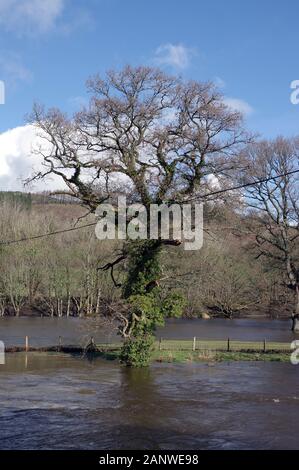 Fiume Dee flood Galles del Nord Marzo 2019 Foto Stock