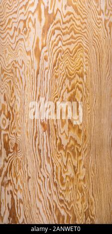 Compensato grande struttura o sfondo del pannello laterale anteriore Foto Stock