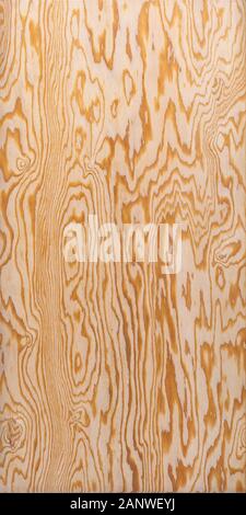 Compensato grande struttura o sfondo del pannello laterale anteriore Foto Stock