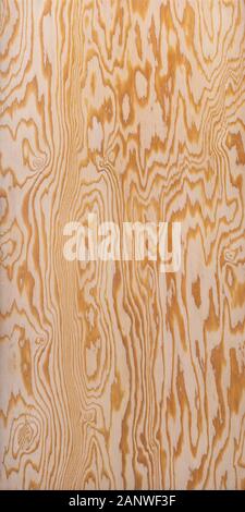 Compensato grande struttura o sfondo del pannello laterale anteriore Foto Stock