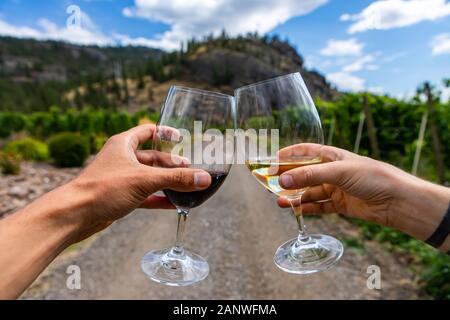 Mani e rasserenanti un paio di vino rosso e bianco occhiali messa a fuoco selettiva vista ravvicinata contro il percorso stradale tra vigneti sullo sfondo Foto Stock