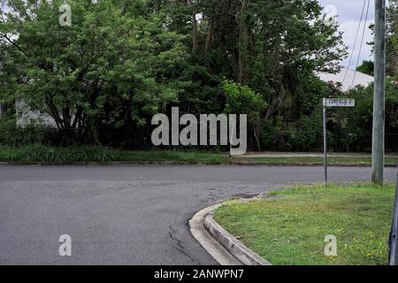 Case nascoste dietro lussureggianti alberi e arbusti verdi, foglie di viti, sentieri verdi. Una strada suburbana nel sobborgo di carina a Brisbane. Foto Stock