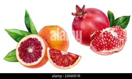 Melograno sangue arancio set acquerello isolato su sfondo bianco Foto Stock