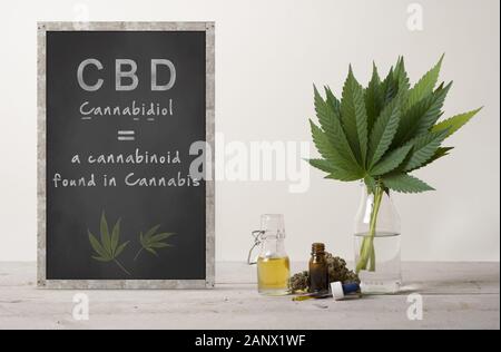 Lavagna rustico con testo cannabidiolo e marujuana cannabis sativa foglie di erbaccia bouquet, germoglio di fiore e il CBD di olio in vetro flacone contagocce, su legno c Foto Stock