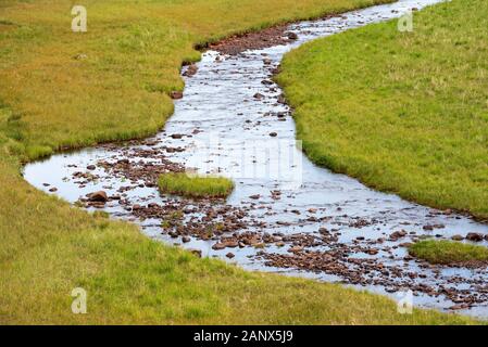 Serpeggianti mountain creek in esecuzione attraverso la tundra paesaggio, creek sponde coperte con erba verde crescita, Finnmark Norvegia Foto Stock