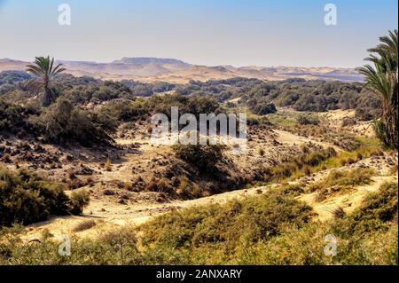 Paesaggio Severo nella regione di Dahshur d'Egitto Foto Stock