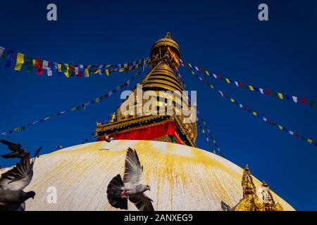 Swayambhunath, conosciuto anche come Tempio delle scimmie, si trova a Kathmandu, in Nepal, come in una delle principali attrazioni di Kathmandu. Foto Stock