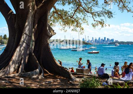 Sydney, AUSTRALIA - 18 MARZO 2018 - amici e famiglie si rilassano all'ombra di un enorme albero nel Robertson Park di Watson's Bay Foto Stock