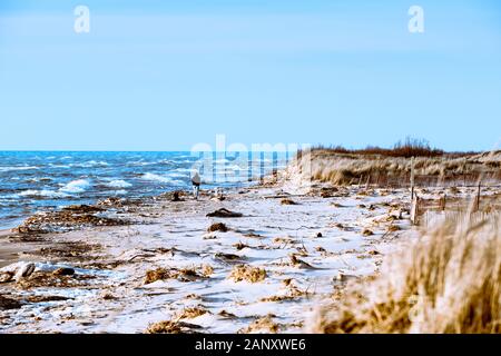 Persona che cammina la tempesta disseminato spiaggia vicino al Ludington membro Park Beach House nel dicembre vicino Ludington, Michigan, Stati Uniti d'America Ludington parco dello stato è Foto Stock