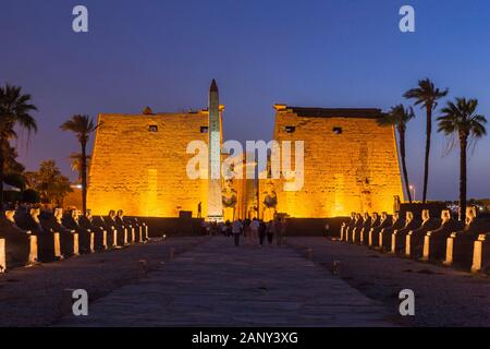 Illuminazione sul primo phylon e viale sfingi in sera crepuscolo, Tempio di Luxor, Luxor, Egitto, Nord Africa, Africa Foto Stock