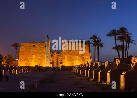 Illuminazione sul primo phylon e viale sfingi in sera crepuscolo, Tempio di Luxor, Luxor, Egitto, Nord Africa, Africa Foto Stock