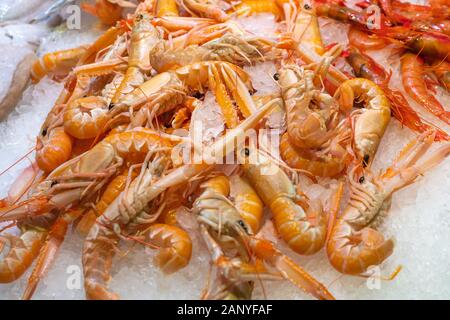 Scampi freschi in un mercato del pesce Foto Stock