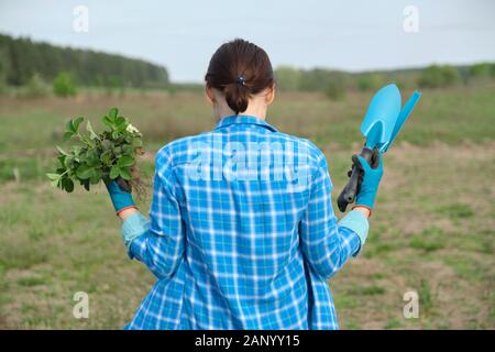 Stagione primaverile, donna camminare nel giardino con cespugli di fragole Foto Stock