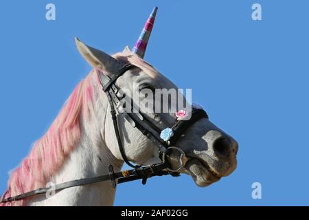 Sfondo magico con realistica di colore bianco cavallo Unicorno Foto Stock