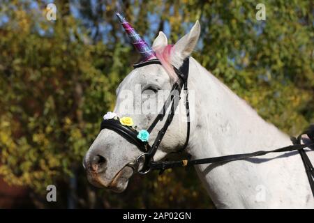 Sfondo magico con realistica di colore bianco cavallo Unicorno Foto Stock