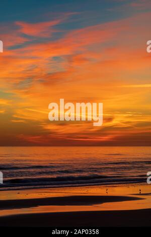L'immagine verticale di un sunrise prima che il sole sorge sopra l'orizzonte lungo la costa atlantica del Port Orange, Florida illuminare le nuvole sopra e Foto Stock
