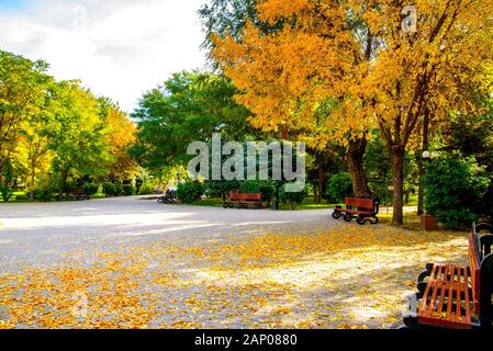 Il parco della città in autunno. La calma nella Big city life Foto Stock