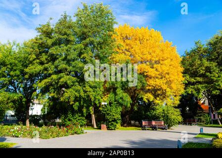 Il parco della città in autunno. La calma nella Big city life Foto Stock