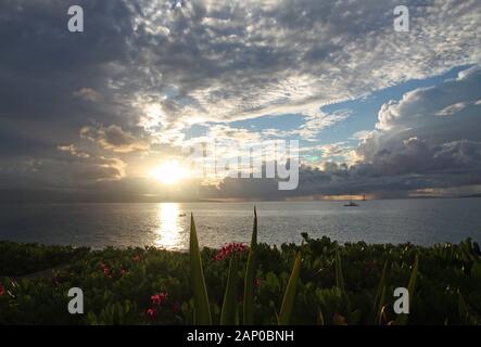 Tramonto in Maui Hawaii con barche in background e piante e fiori in primo piano Foto Stock